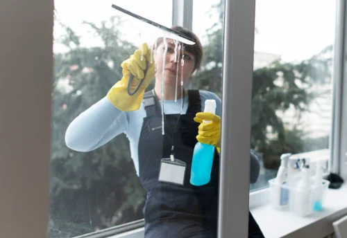 Nettoyage de vitres intérieures et extérieures à Évian-les-Bains